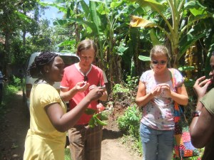 Students collaborating in a community of practice are not competitors