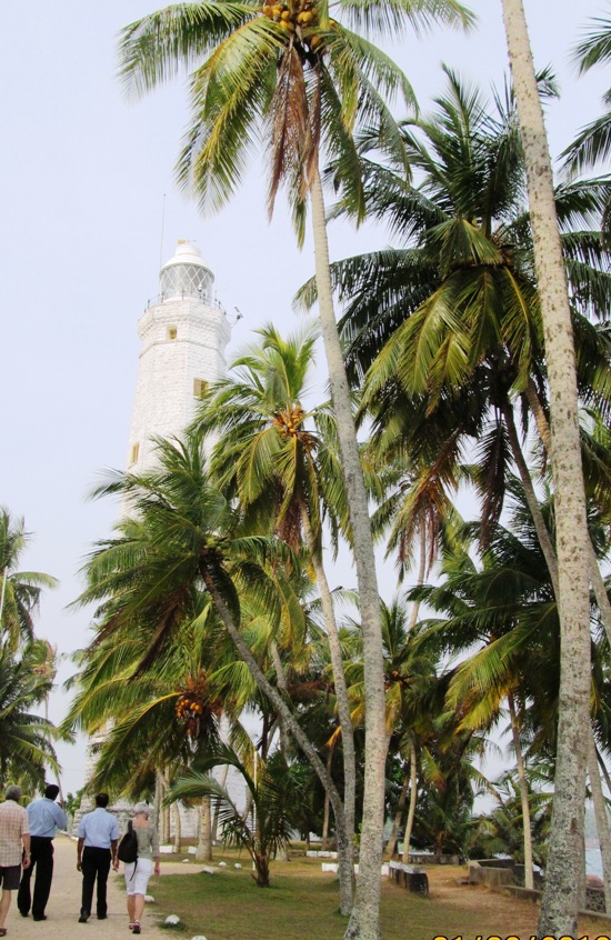 Dondra head light house